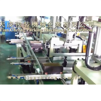 Automatic Weighing, Boxing and Carton Sealing System (Case 4)