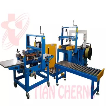 Carton Sealer & Cross Strapping System - The TC-8560AY fully automatic carton sealer and cross strapping system, an integrated solution for automated packaging lines.