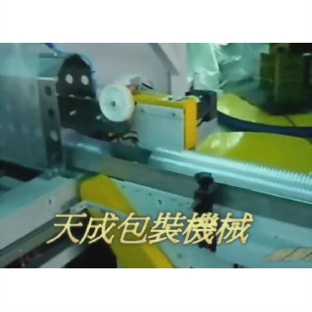Cup Bagging Packaging Machine (Case 11)