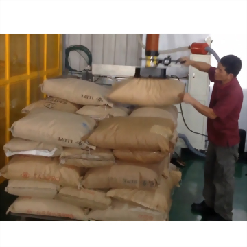 Vacuum Lifter for Sacks and Bags