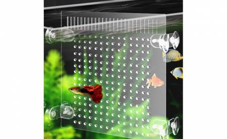 Прозорий акриловий роздільник для акваріума з рибками: Чиста та легка акрилова плита створює новий простір для акваріума.